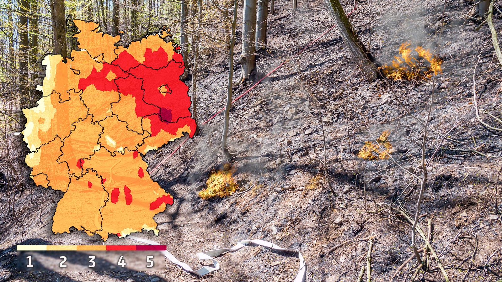 Böschungsbrände behindern Verkehr im Norden Polizei warnt vor